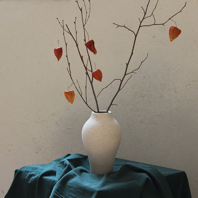 Modern hydroponic ceramic planter decor close-up