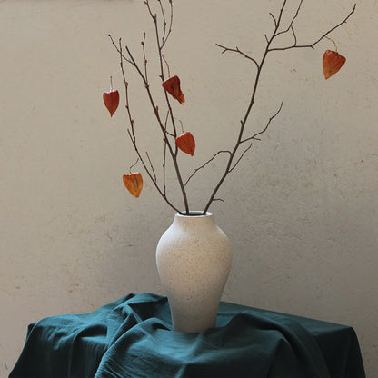 Modern hydroponic ceramic planter decor close-up